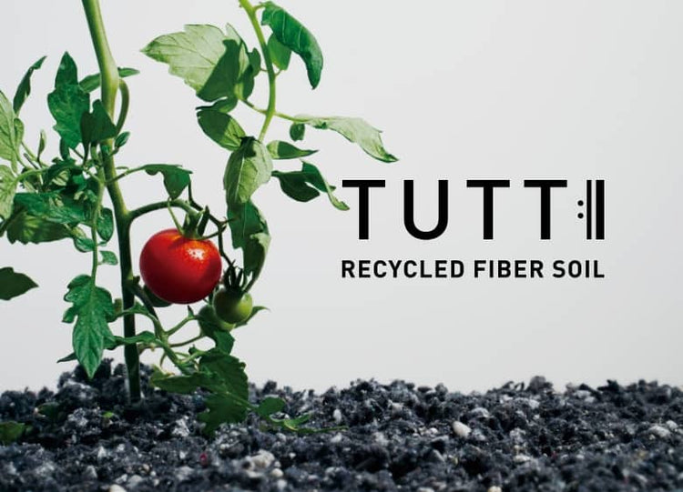 TUTTI