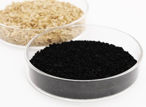 triporous