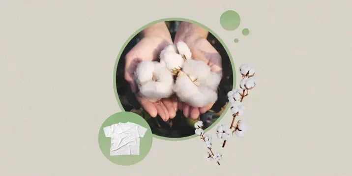 「ORGANIC FIELD」の取り組みが「ELLE DIGITAL」に掲載