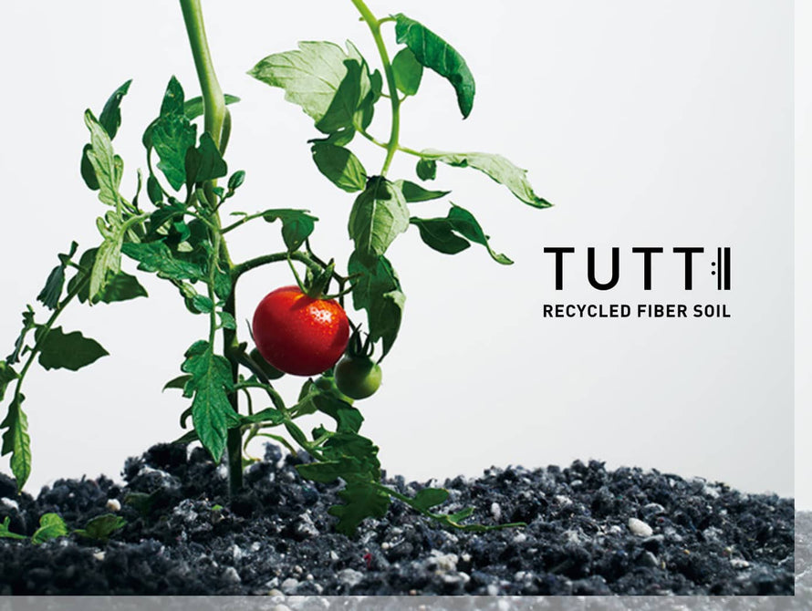 TUTTI