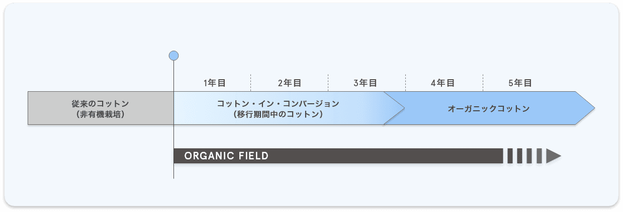 オーガニックコットンへの移行を示す図。従来のコットン（非有機栽培）から転換を開始し、1年目から3年目はコットン・イン・コンバージョン（移行期間中のコットン）、4年目以降はオーガニックコットンとなる。ORGANIC FIELDは全期間を通して取り組む。