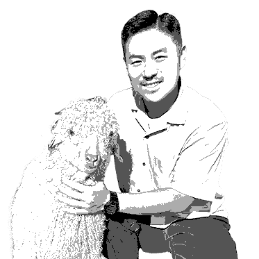 取り組み
